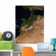 Satellite Morocco Wall Decal