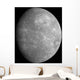 Planet Mercury Wall Decal Design 1