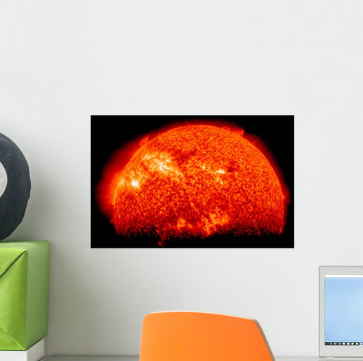 Spring Eclipse as Viewed Wall Decal