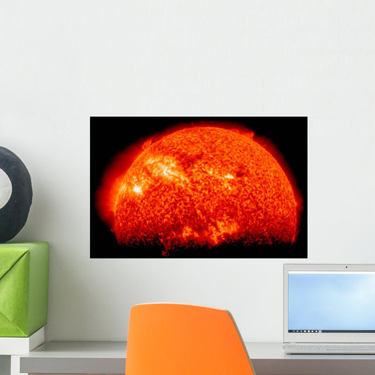 Spring Eclipse as Viewed Wall Decal