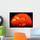 Spring Eclipse as Viewed Wall Decal