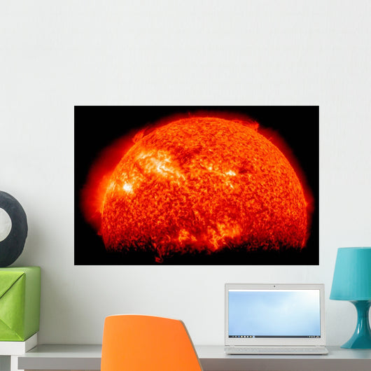 Spring Eclipse as Viewed Wall Decal