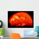 Spring Eclipse as Viewed Wall Decal