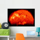 Spring Eclipse as Viewed Wall Decal