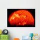 Spring Eclipse as Viewed Wall Decal