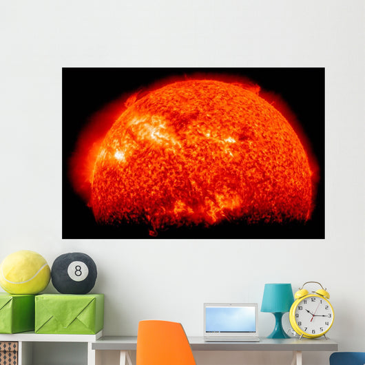 Spring Eclipse as Viewed Wall Decal