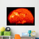 Spring Eclipse as Viewed Wall Decal