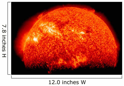 Spring Eclipse as Viewed Wall Decal