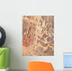 Satellite Wadi Rum Southwestern Wall Decal