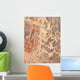 Satellite Wadi Rum Southwestern Wall Decal