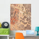 Satellite Wadi Rum Southwestern Wall Decal