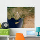 Satellite Turkey Wall Decal