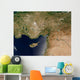 Satellite Turkey Wall Decal