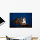Night Space Shuttle Atlantis Wall Decal Design 2