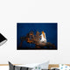 Night Space Shuttle Atlantis Wall Decal Design 2