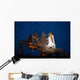 Night Space Shuttle Atlantis Wall Decal Design 2