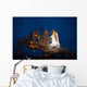 Night Space Shuttle Atlantis Wall Decal Design 2