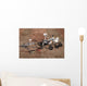 Three Generations Mars Rovers Wall Decal Design 2
