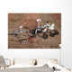 Three Generations Mars Rovers Wall Decal Design 2
