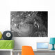 Nighttime Tropical Storm Isaac Wall Decal