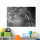 Nighttime Tropical Storm Isaac Wall Decal