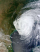 Hurricane Isaac Makes Its Wall Decal