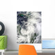 Tropical Storm Sandy Hovering Wall Decal
