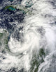 Tropical Storm Sandy Hovering Wall Decal