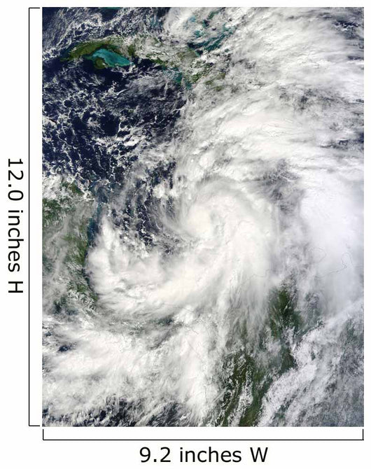 Tropical Storm Sandy Hovering Wall Decal