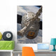 SpaceX Dragon Commercial Cargo Wall Decal Design 4