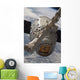 SpaceX Dragon Commercial Cargo Wall Decal Design 4