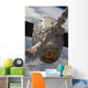 SpaceX Dragon Commercial Cargo Wall Decal Design 4