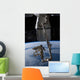 SpaceX Dragon Commercial Cargo Wall Decal Design 3