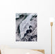 Satellite Kamchatka Peninsula Eastern Wall Decal