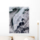 Satellite Kamchatka Peninsula Eastern Wall Decal