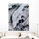 Satellite Kamchatka Peninsula Eastern Wall Decal