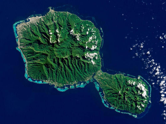 Satellite Tahiti Wall Decal