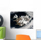 Satellite Iceland Wall Decal