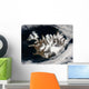 Satellite Iceland Wall Decal