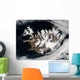 Satellite Iceland Wall Decal