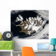 Satellite Iceland Wall Decal