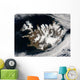 Satellite Iceland Wall Decal