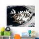 Satellite Iceland Wall Decal