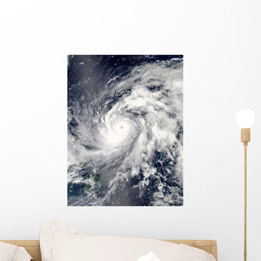 Typhoon Sanba over Pacific Wall Mural