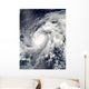 Typhoon Sanba over Pacific Wall Mural