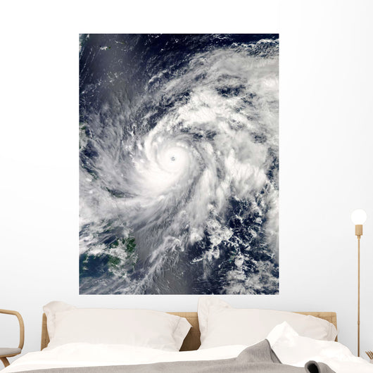 Typhoon Sanba over Pacific Wall Mural