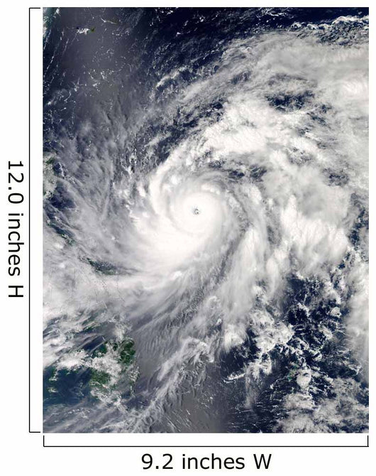 Typhoon Sanba over Pacific Wall Decal Design 2