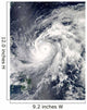 Typhoon Sanba over Pacific Wall Decal Design 2