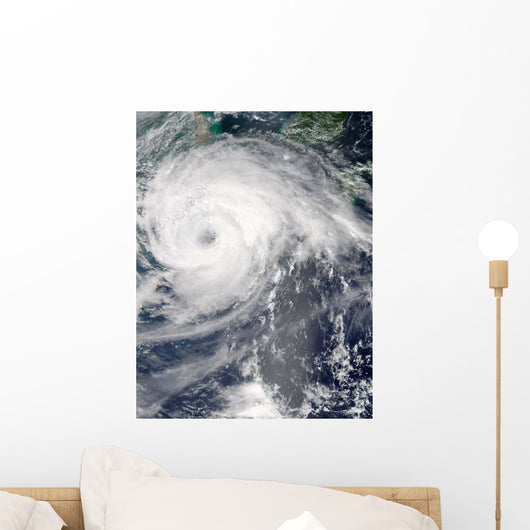 Typhoon Haikui Wall Decal