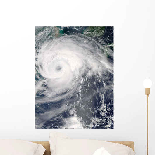 Typhoon Haikui Wall Decal